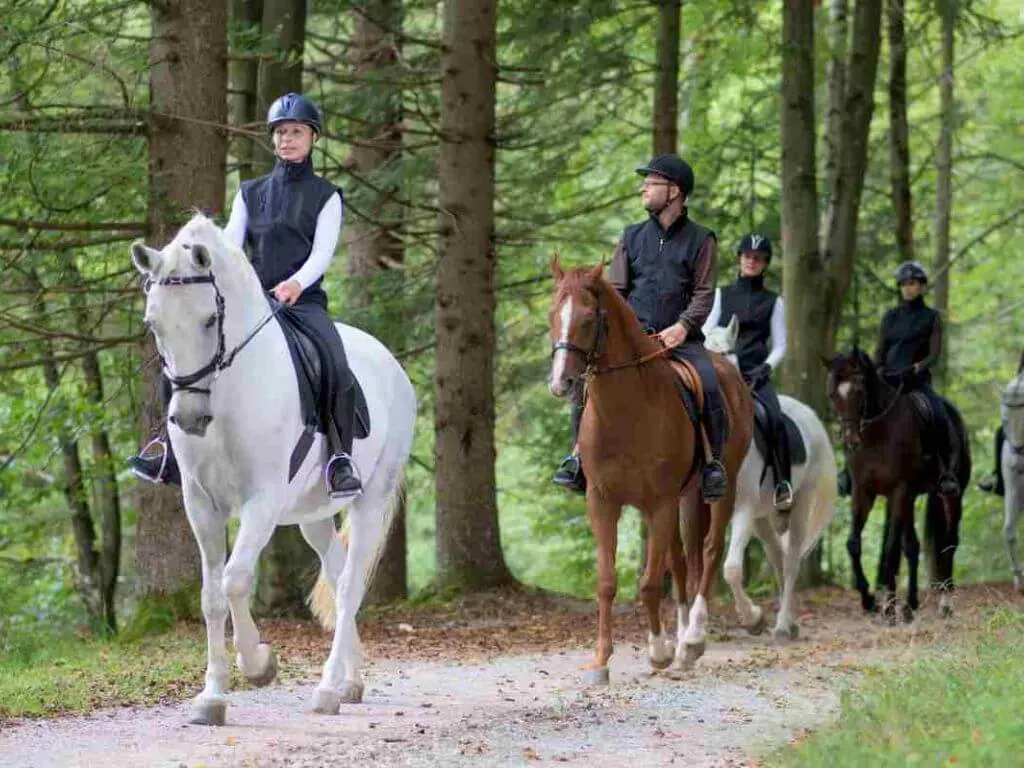 Marmaris Horse Safari in Nature with Hotel Transfer