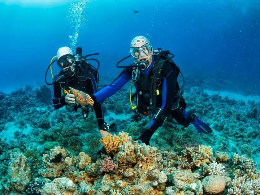 Marmaris Dual Dive Discovery