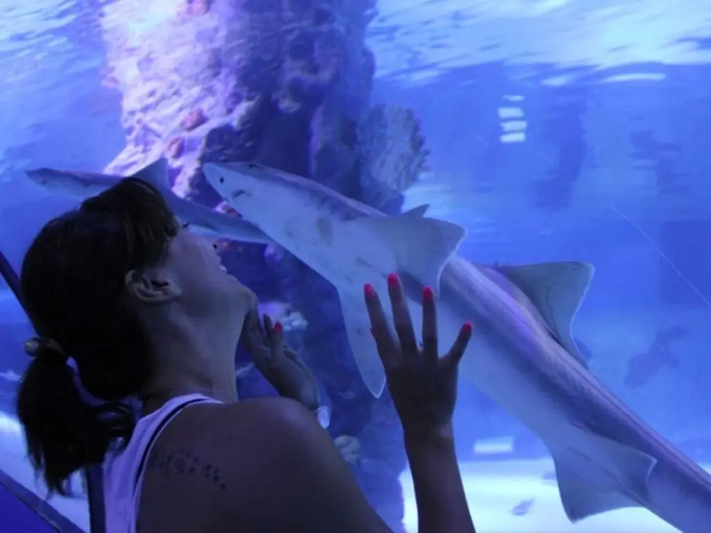 Antalya Family Adventure Pass: Aquarium, Snow World, Wax Museum & More