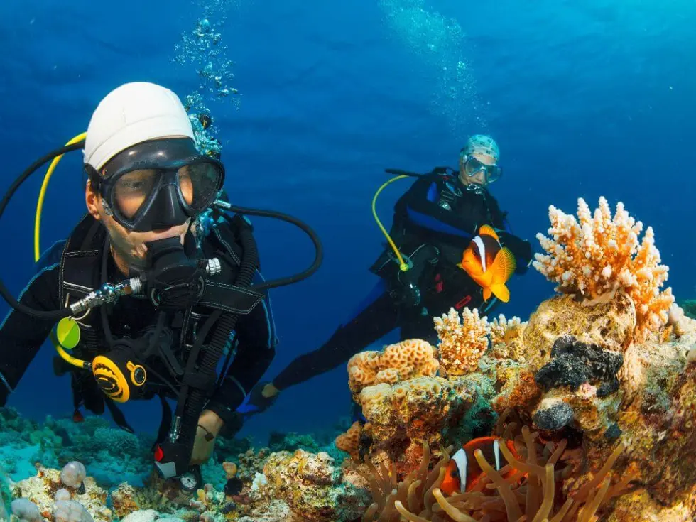 Bodrum Underwater Discovery: Scuba Diving Experience